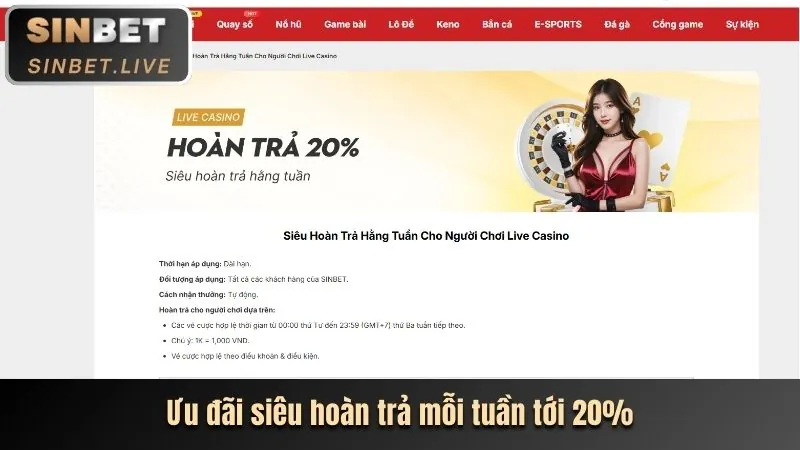 Hoàn trả cá cược thể thao 678win